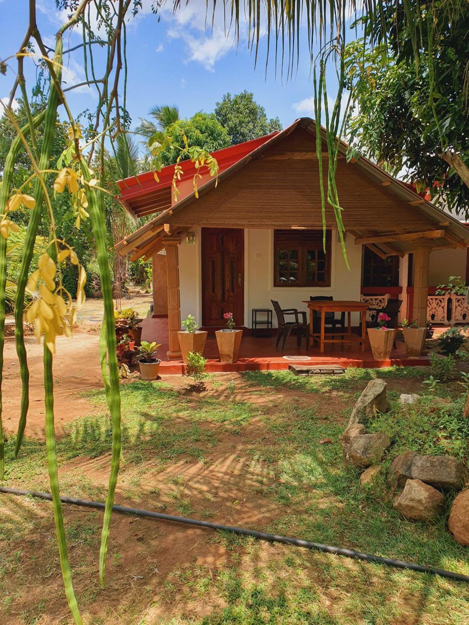 Jungle Eco Lodge & Safari Sigiriya Ngoại thất bức ảnh