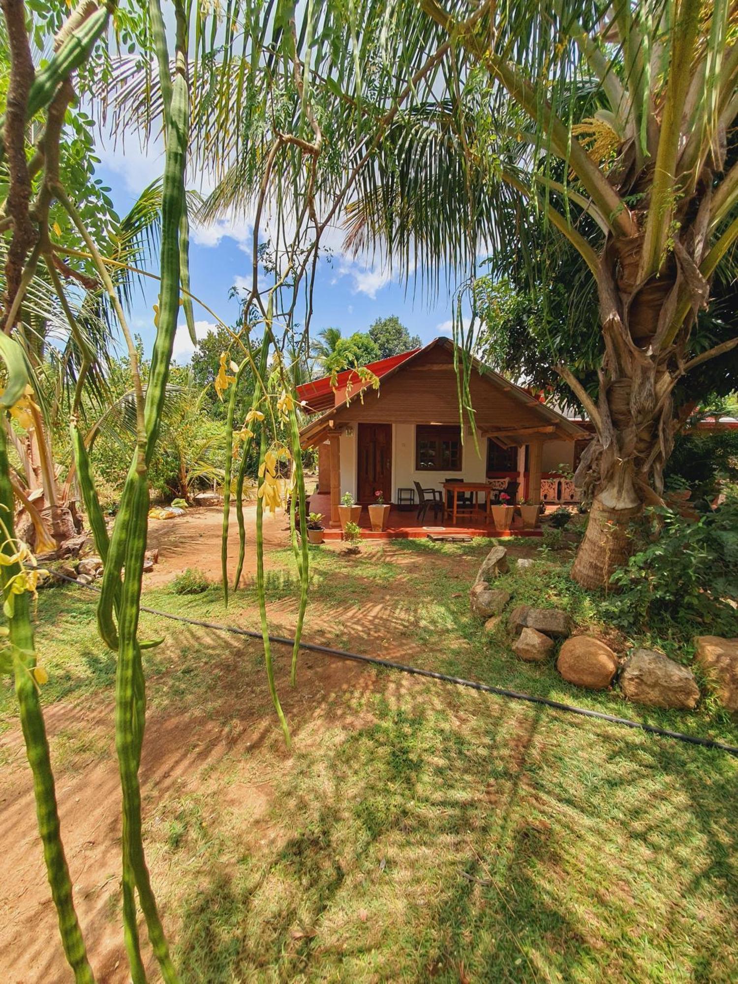 Jungle Eco Lodge & Safari Sigiriya Ngoại thất bức ảnh