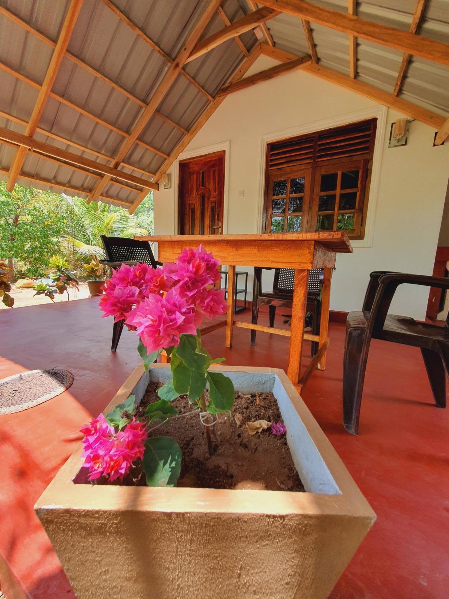 Jungle Eco Lodge & Safari Sigiriya Ngoại thất bức ảnh