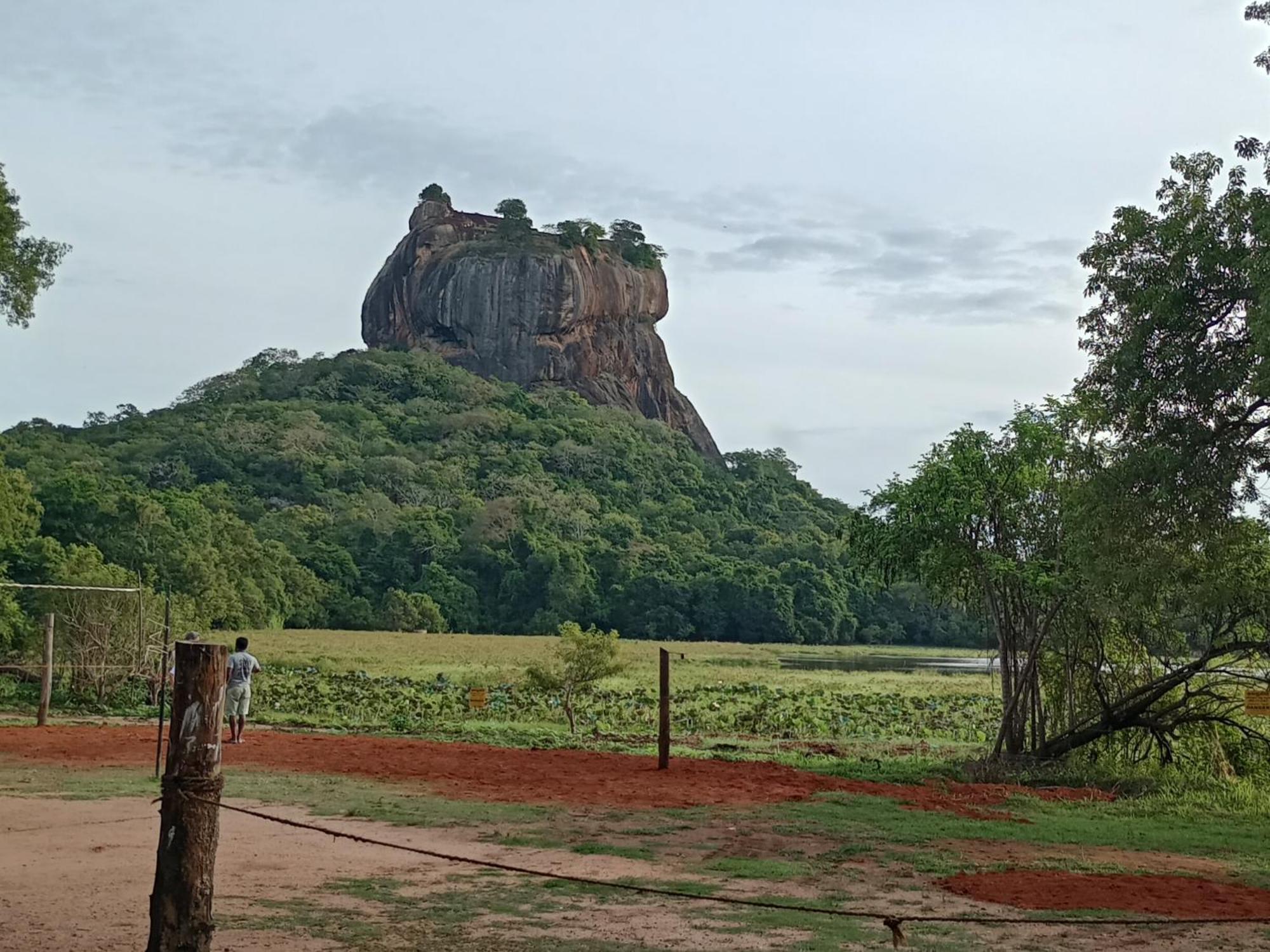 Jungle Eco Lodge & Safari Sigiriya Ngoại thất bức ảnh