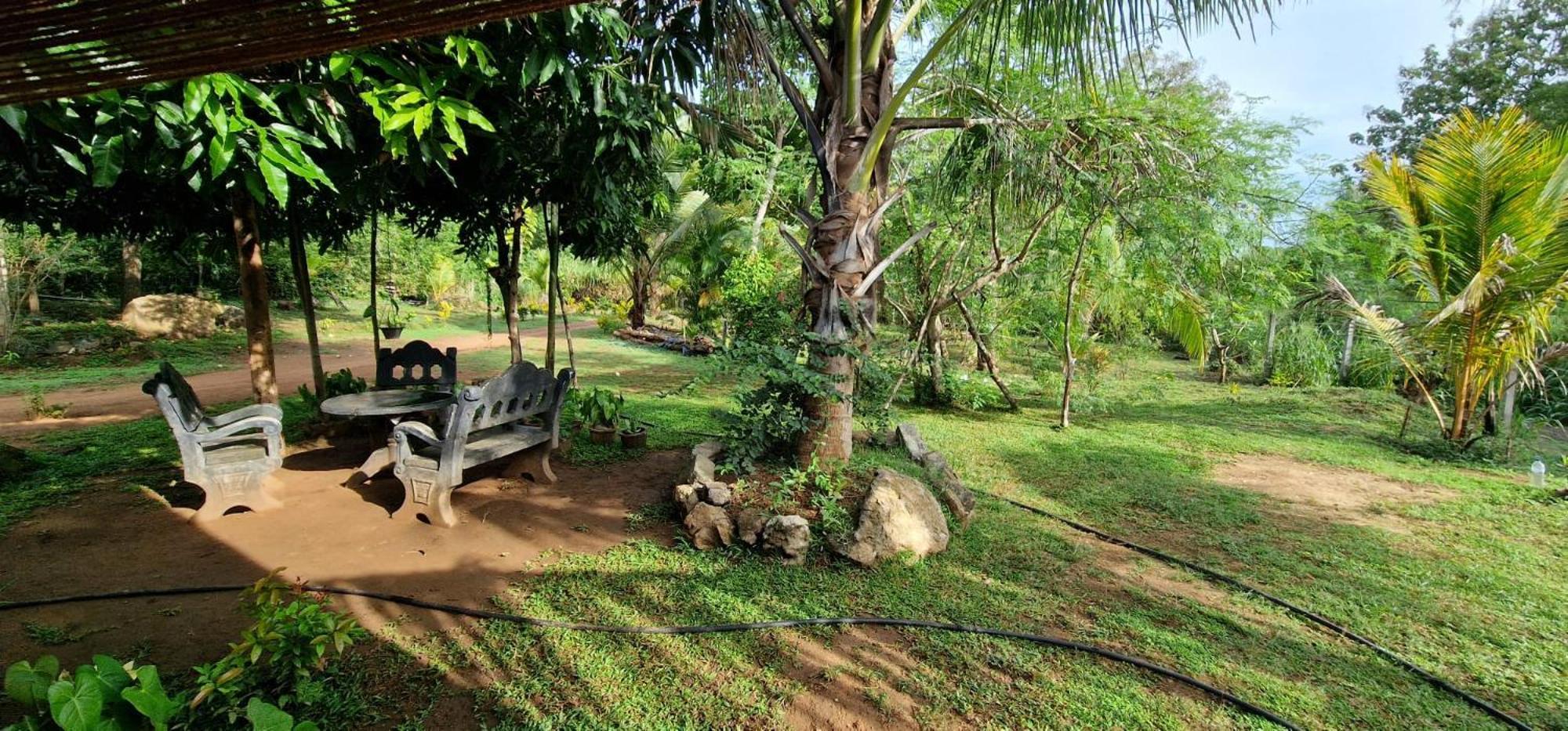 Jungle Eco Lodge & Safari Sigiriya Ngoại thất bức ảnh