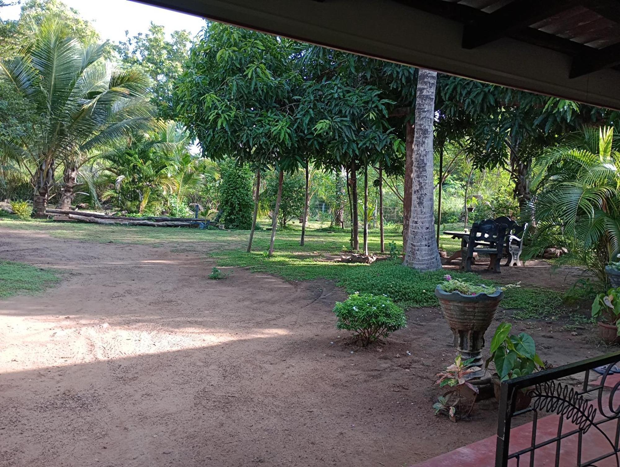 Jungle Eco Lodge & Safari Sigiriya Ngoại thất bức ảnh