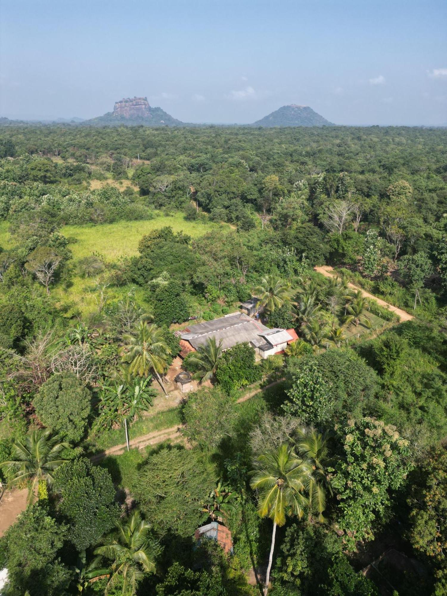 Jungle Eco Lodge & Safari Sigiriya Ngoại thất bức ảnh
