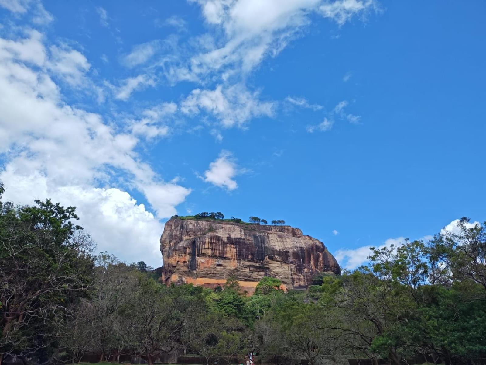 Jungle Eco Lodge & Safari Sigiriya Ngoại thất bức ảnh